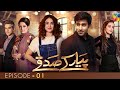 Pyar ke sadqay  episode 1   yumna zaidi  bilal abbas  shra asghar  yashma gill  hum tv drama