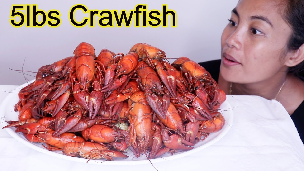 5 lbs Crawfish!! Eating huge crawfish - YouTube