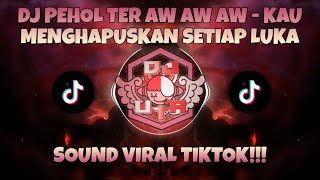 DJ PEHOL TER AW AW AW | KAU MENGHAPUSKAN SETIAP LUKA X CARE BEBEK VIRAL TIKTOK 2023