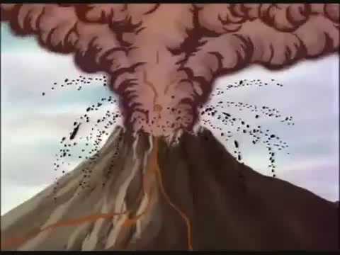 Beachcomber has a bad trip