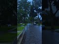 🌧️🌧️🌧️ #ambientmusic #rain #bluehour #relax #relaxing
