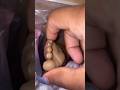 I brought a Reborn Doll #reborn #shorts