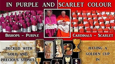 The Society of Jesus/Jesuit Order