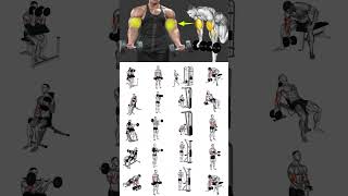 Biceps Exercises  | biceps workout with dumbbells | biceps |Best Bicep workout #biceps #bicepworkout