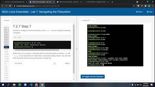 NDG Linux Essentials - Lab 7 : Navigating the Filesystem