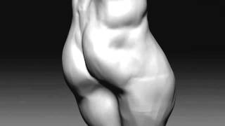 Sculpt a Male Torso in Zbrush