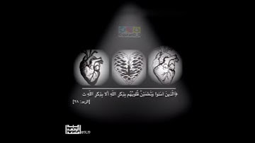 القارئ عبد الرحمن مسعد /سورة الرعد🌻