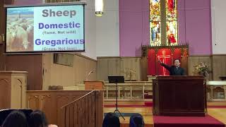 2026 0712 Luke (79) 15:1-7 The Parable of Sheep Lost