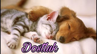 Gerçek Dostluklar Nasıl Başlıyor? İlişki Sorunlarının Tetikleyen Nedir? Dostluk Bağı Nasıl Artar?