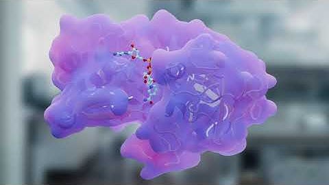 Enzyme Search by Zymvol