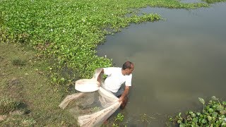 Lovely Catching Big Fish By Cast Net | Fishing with beautiful nature in Jnanpara