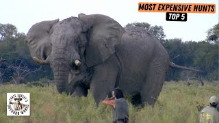 Top 5 Most Expensive Hunts