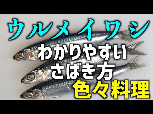 版画 うるめいわし 魚谷清兵衛 | 魚 | フード 通販 | フード・食品 | 三越