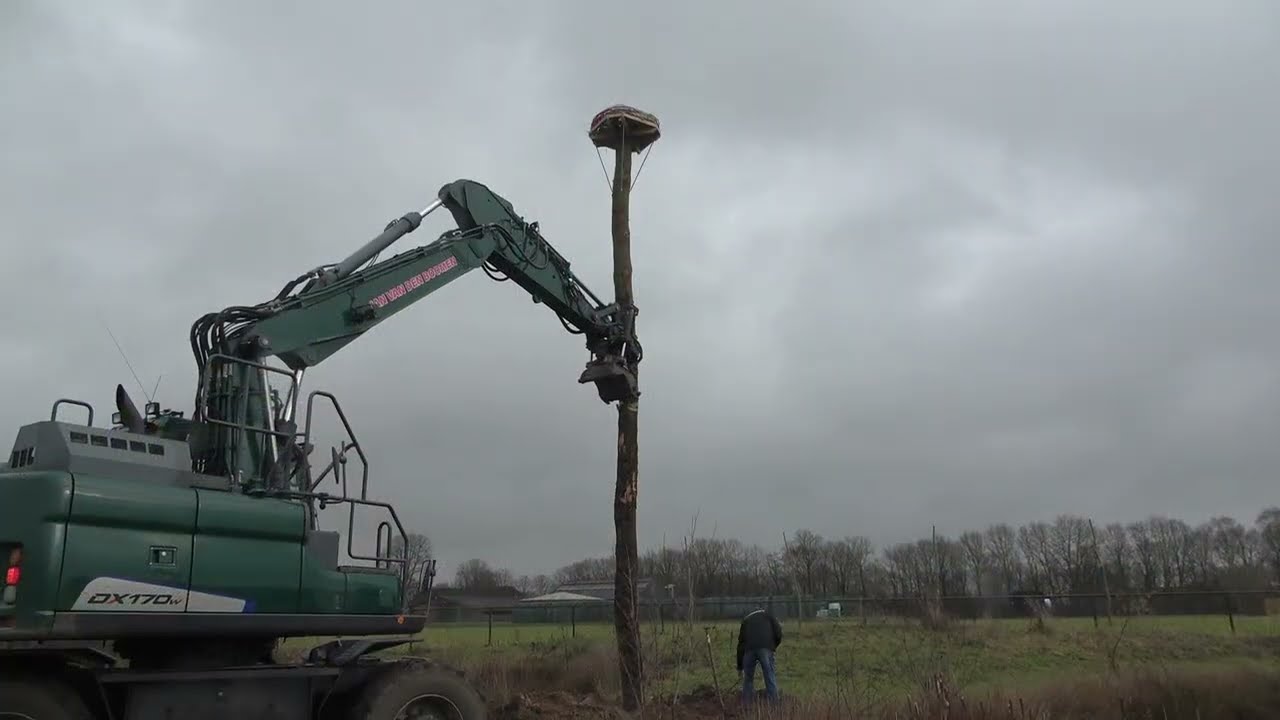 Ooievaarsnest plaatsen, Kruisstraat