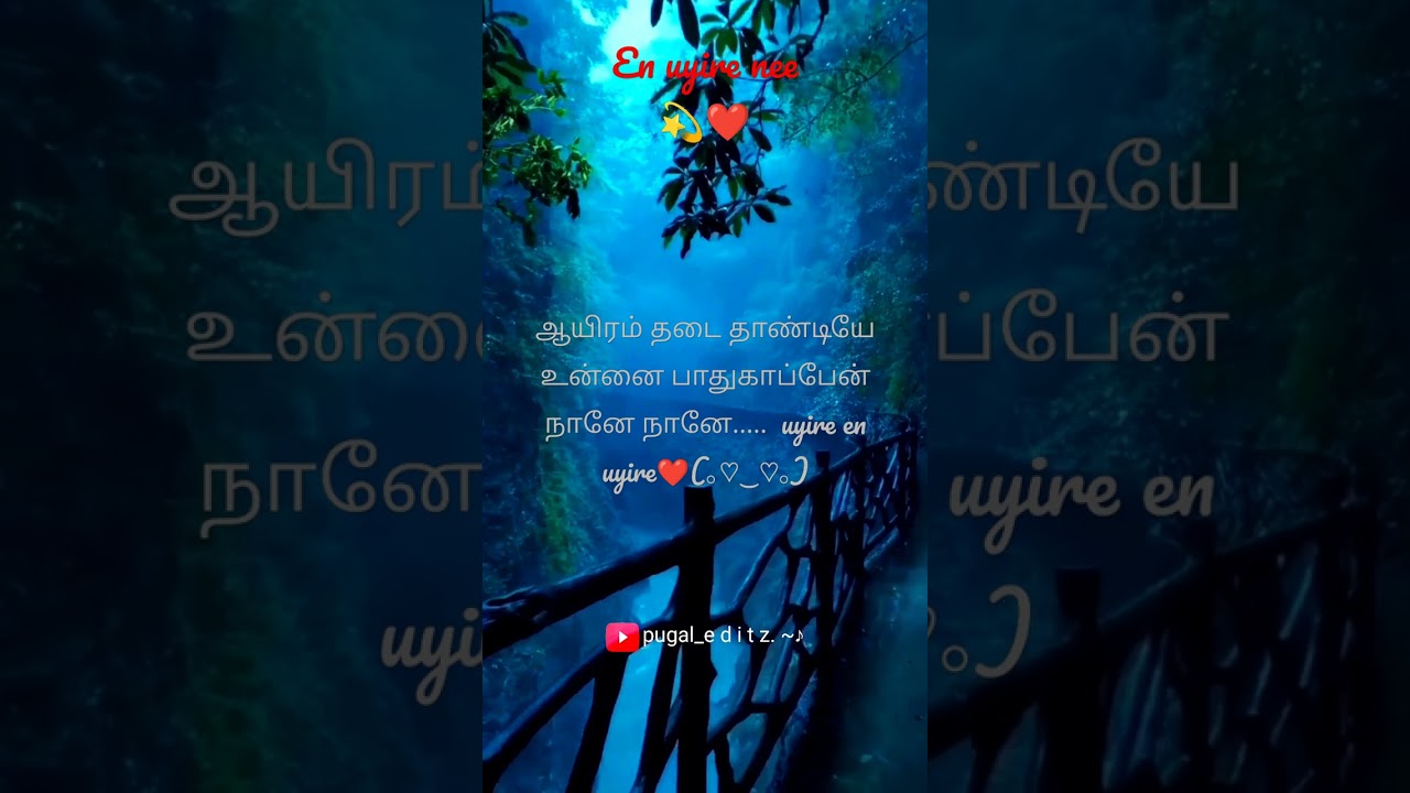 pugal Tamil love ❤️WhatsApp status pugal 💫🌹😌🥰