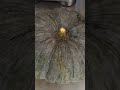 Big Pumpkin Shortsfeeds Paanutumaasangviews Big Pumpkin Shortsfeeds Paanutumaasangviews