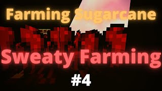 Farming Netherwart! Hypixel skyblock, Giveaway At End
math and wart hypixel stuff giveaway Farming Netherwart! Hypixel skyblock, Giveaway At End