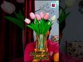 Meesho Artificial Tulips better than Real tulips😱! #shorts