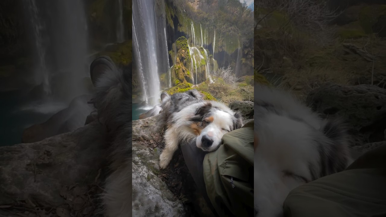 Reconnect with peace 💚 