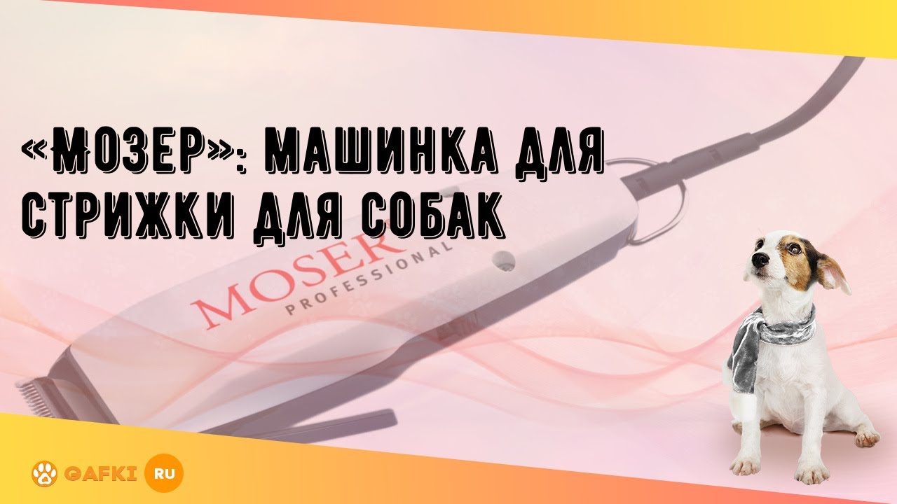 «Мозер»: машинка для стрижки для собак - YouTube