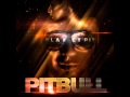 Pitbull  shake senora feat tpain  sean paul