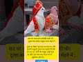#shortvideo #yashomatimaiyasebolenandlala #facts #trend #changeyourmindsetchangeyourlife #radhe