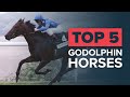 TOP 5 GODOLPHIN HORSES | DUBAI MILLENNIUM & DAYLAMI