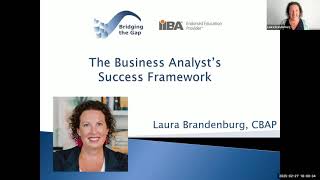 The Business Analyst’s Framework for Success by Laura Brandenburg