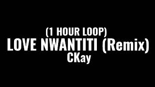 CKay - love nwantiti (1 HOUR LOOP)(feat. Dj Yo! & AX'EL) (Remix)