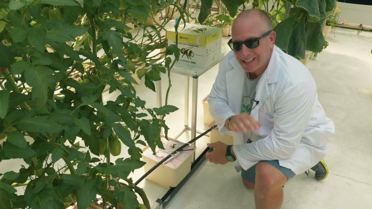 Hydroponics 101: What we grow | CropKing Inc.