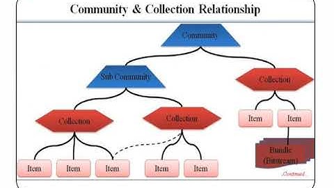 Digital Library Case Study: Dspace