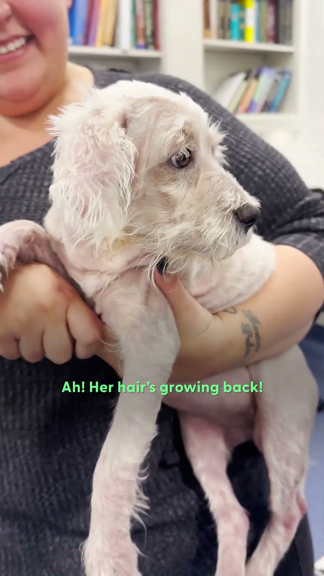 Happy Cry Incoming...❤️ | The Dodo