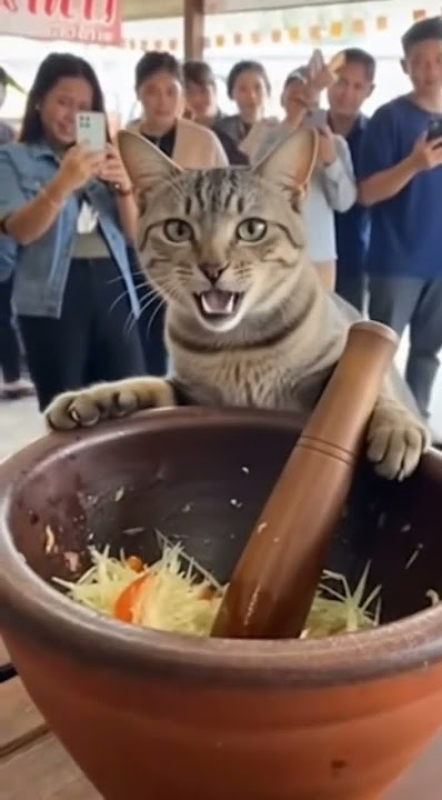 Si Belang ngga suka diliat liat selagi kerja. Dia pertama kali membuat bumbu uleg