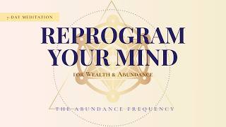 Reprogram Your Mind for Wealth | Abundance &amp; Wealth Meditation | BE A MONEY MAGNET