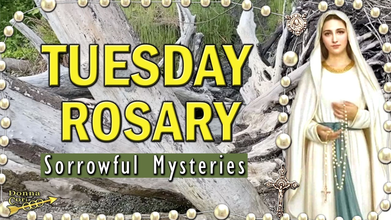 Pray the Rosary TUESDAY | SORROWFUL Mysteries of the Holy Rosary Today, Winter Driftwood