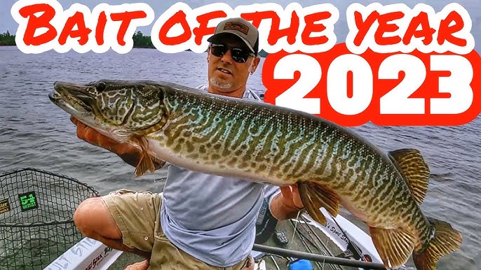 The BEST MUSKY SWIM BAITS! Underwater footage throwdown! 