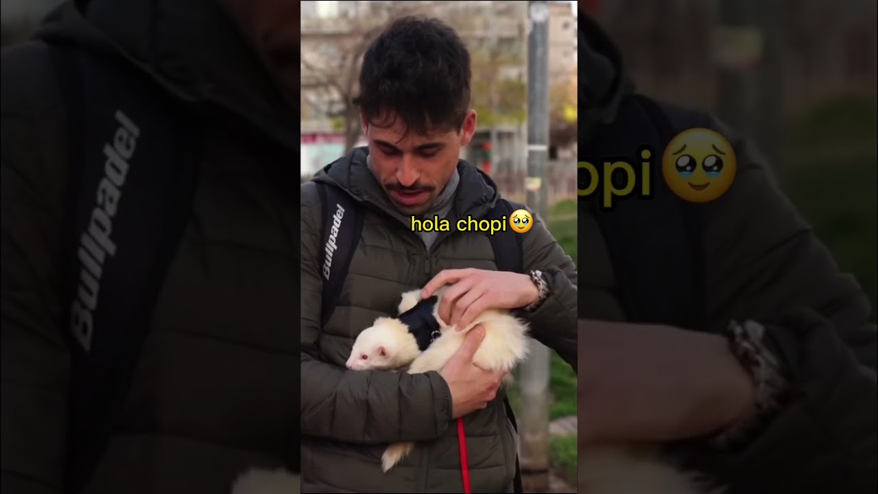 Sacarle a pasear es una locura😂😱 