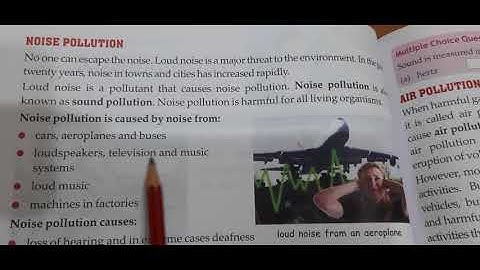 Class 5, SST, Chapter 12, Environmental Pollution, Video Part 2(Noise Pollution)