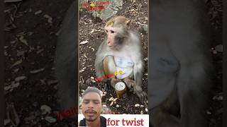 #funny #monkey #greenscreen video 11 #viralvideo