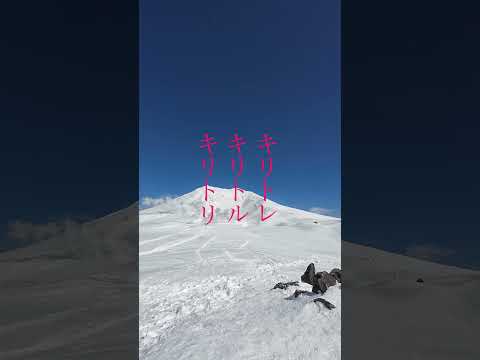 クマは突然忠告にやってくる！ #東川町 #旭岳 #熊注意