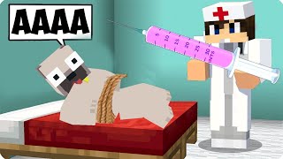 Orvos Lettem Hogy Megszivassam Kiist A Minecraftban
