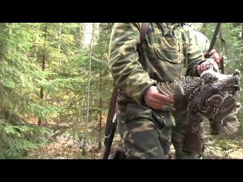 Видео: Францын Hazel Grouse-ийг хэрхэн яаж хоол хийх талаар