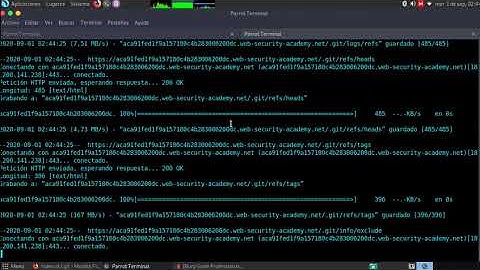 Information disclosure in version control history