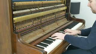 C1896 Bluthner Bluthner Upright Piano For Sale.
