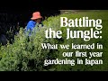 What we learned in our first year of gardening in the Japanese countryside: failures & okonomiyaki