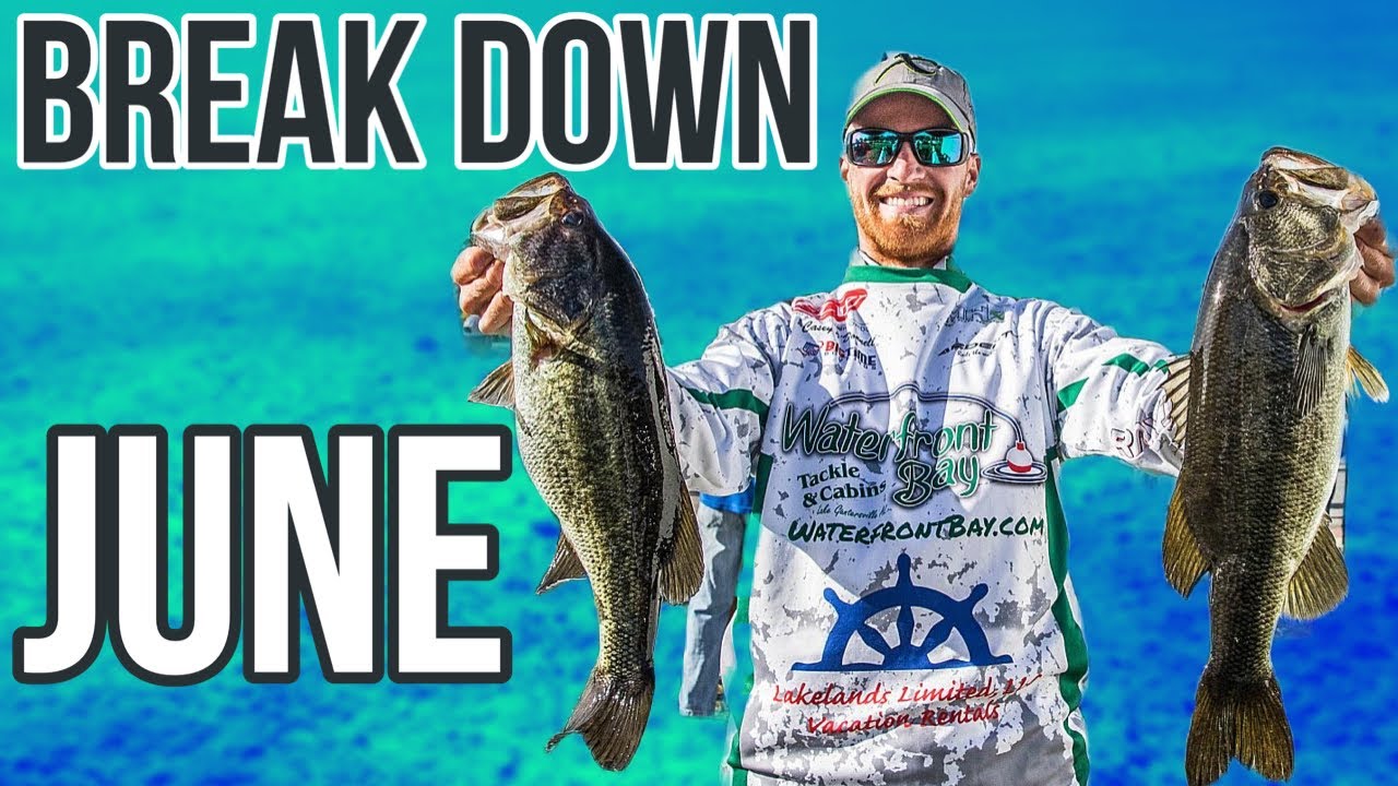 June Bass Fishing