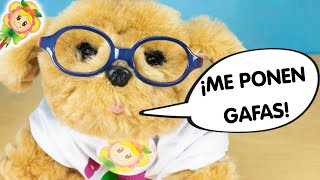 🐶 Brownie no ve ni un pimiento 😂! Necesita gafas indestructibles porque las rompe todas!!!! 😱