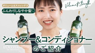 ロクシタン【シャンプー、コンディショナー】理想のふんわり髪が一日続く！