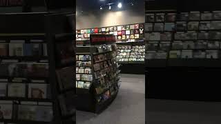 No Måneskin?  Sunrise Records You Need To Do Better! #shorts #maneskin