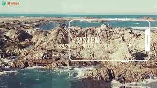 Eews- Earthquake Early Warning System
